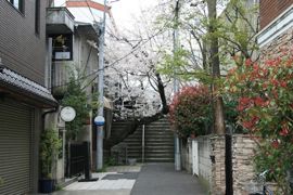 浮かぶ情景と余白