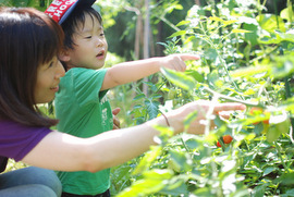 コミュニティ創造のハブになる