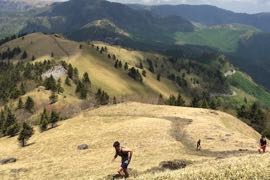 趣味をなりわいに