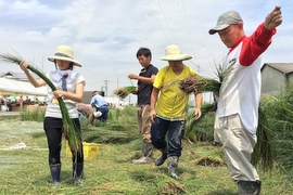 いぐさ×ゲストハウス