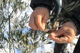 ど真ん中を走る！