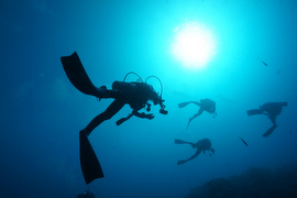 海と人をつなぐ