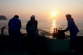 待ちの漁師と島暮らし