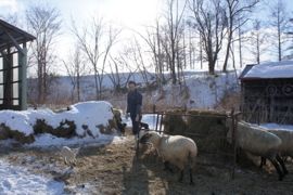 十勝かみしほろん市場から