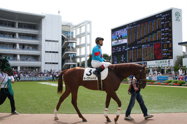 競馬の世界へようこそ