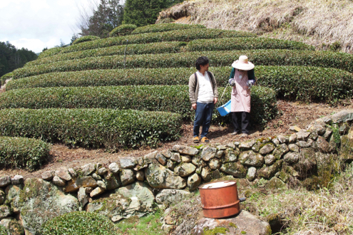 センスのある村