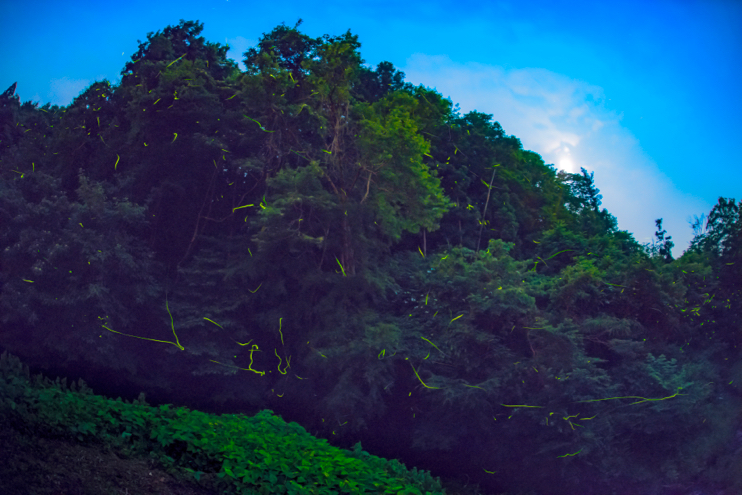 里山の宿でできること