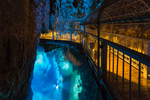 いわいずみナイト