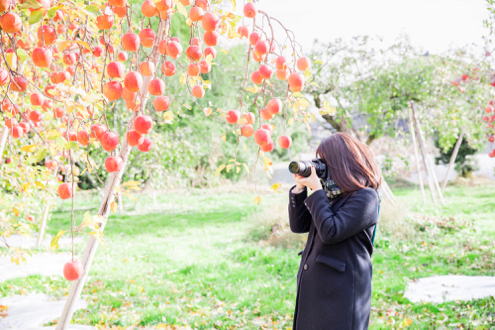 編集家ナイト３