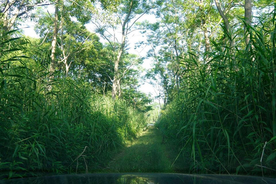 縄文パースペクティブslide & TALK