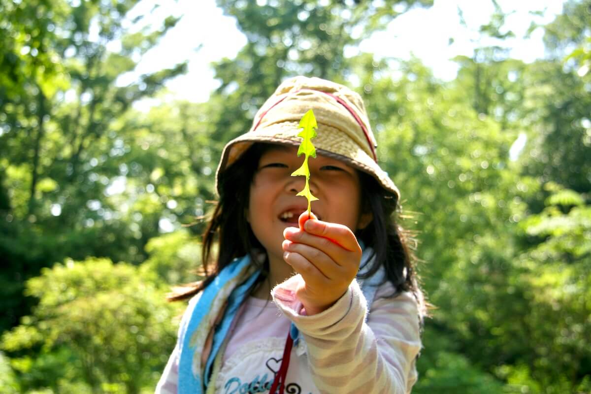 未来の子どもたちへ 自然のおもしろさを伝える 森を守る、そだてる