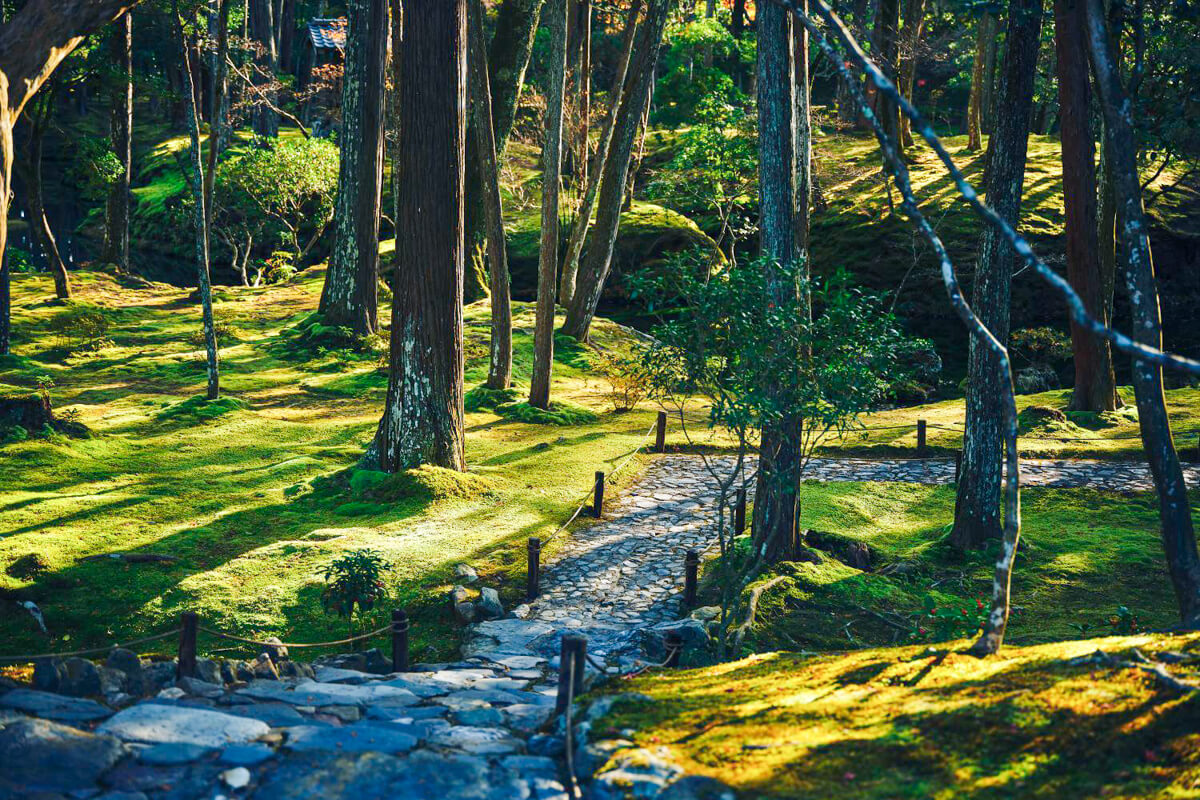 調律と閃きの庭で 1300年の節目を彩る 21世紀の禅寺